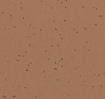 Линолеум Forbo Sphera Energetic 50225 masala фото 1 | FLOORDEALER